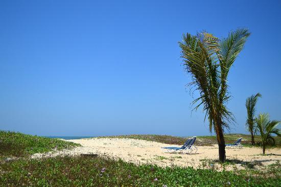 Woodstock Village Bamboo Cottages Бенаулим Экстерьер фото